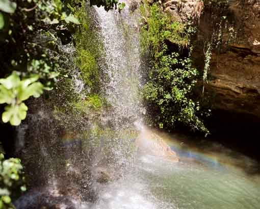 Cascade des Aygalades