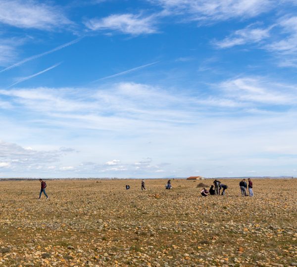 étudiants en plaine de Crau