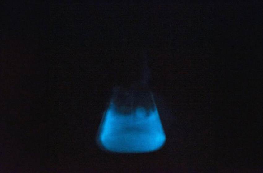 Observer la lumière vivante des océans Dans l’océan, la bioluminescence – l’émission de lumière produite par des organismes vivants- est […]