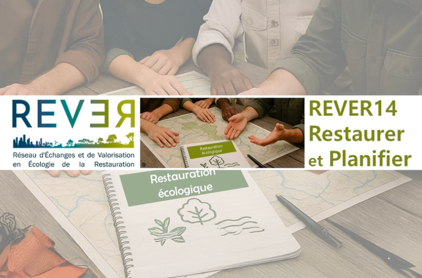 Les 14èmes Journées du Réseau REVER se dérouleront à Avignon, organisées à Avignon Université par l’IMBE – Institut Méditerranéen de […]