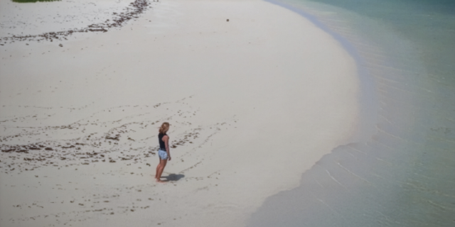 Des oasis dans l'Océan