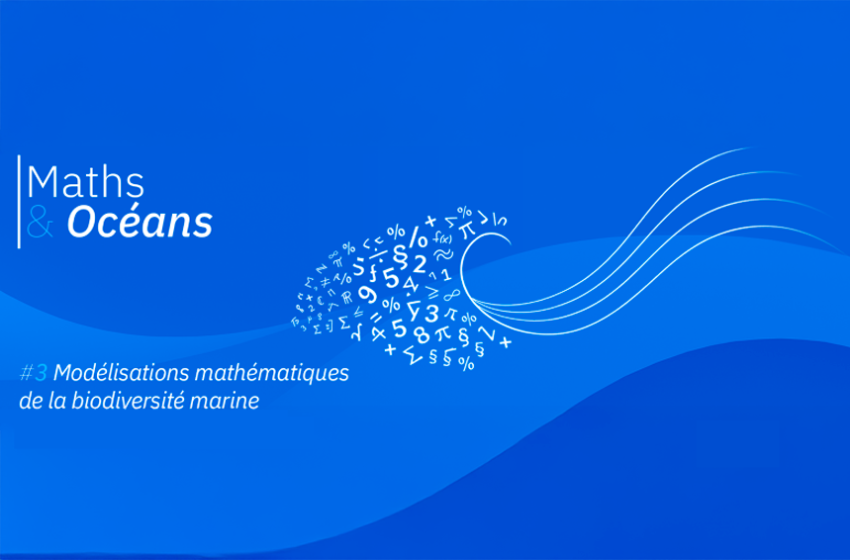 Les ponts entre les mathématiques et la biodiversité marine sont plus nombreux et plus fréquents qu’on ne l’imagine a priori. [&hellip;]