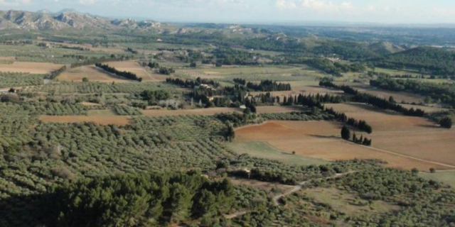 Crédit : INRAE, Sylvie Vanpeene