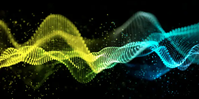 Les Extatiques / Mondes marins sonores