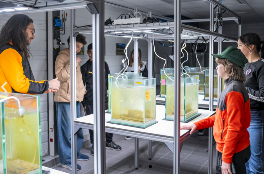 Fort du succès des éditions précédentes, l’événement a cette année pris une nouvelle ampleur avec un format élargi à l’échelle [&hellip;]