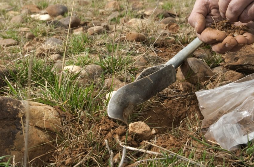 Bien que la perte d&rsquo;habitat soit considérée comme la principale cause du déclin de la biodiversité, la fragmentation de ces [&hellip;]