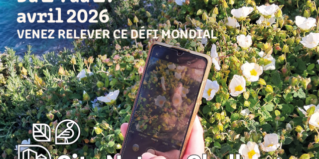 City Nature Challenge 2026.