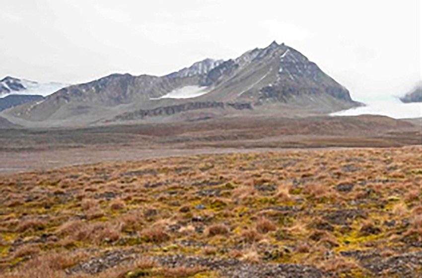 Au Svalbard, un archipel isolé de l’Arctique situé entre la Norvège continentale et le pôle Nord, les sols restent gelés [&hellip;]