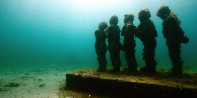 Mare Sapiens.